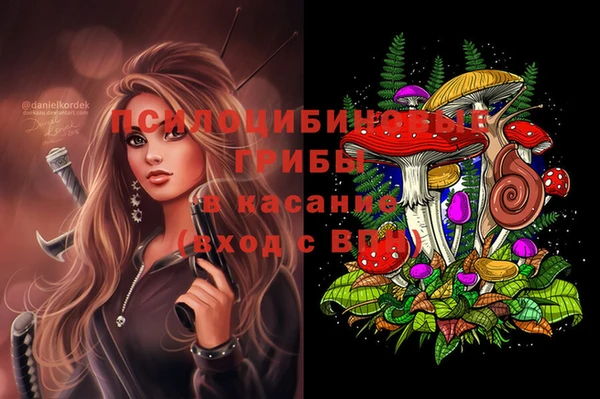 мяу мяу мука Осинники