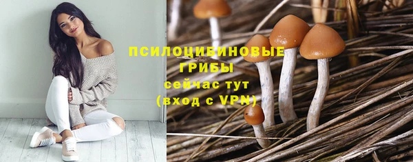 винт Остров